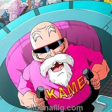 kame paradise 3 icon