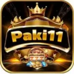 paki11 icon