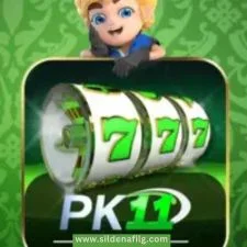 pk11 game icon