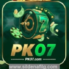 PK07 game icon