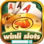 winli slots icon