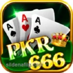 pkr666 icon