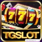 tg slot icon