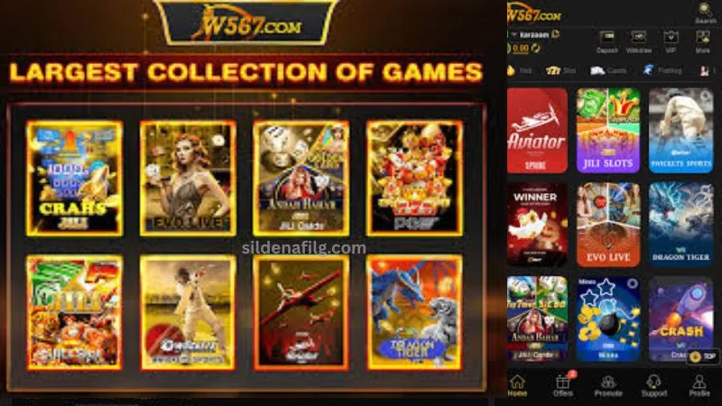 W567 game img